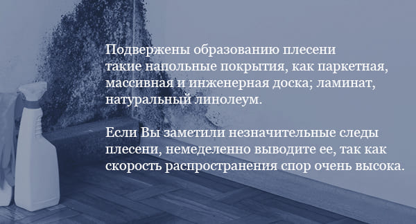 Скорость распространения плесени Скорость распространения плесени
